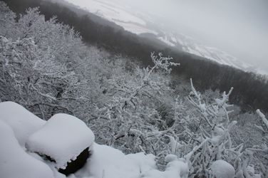 16466531805_1de17b4344_k