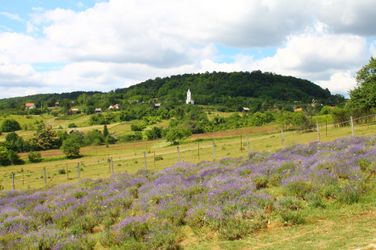 18469958333_428d9b220b_k