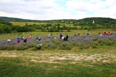 19094005481_e65fbb078f_k