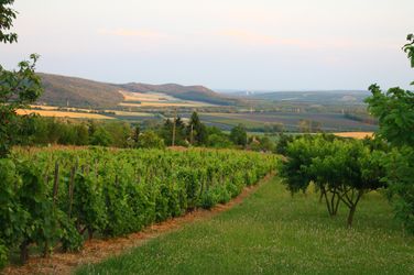 19380289302_7528aba65e_k