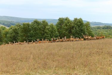 6230171947_2c09fd2480_b