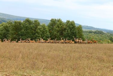 6230678906_e35dbbc55f_b