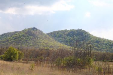 7138383949_8a3a723f37_k