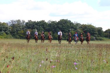 9913838556_357239929d_k