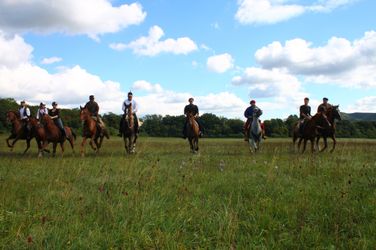 9913866166_0fe3dbb916_k