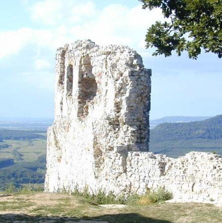 rezi_var