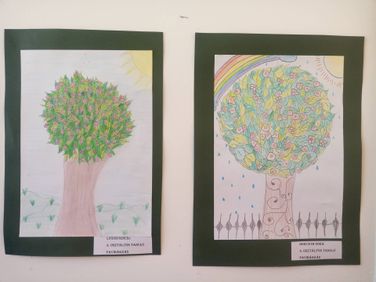 31318110_973361809486258_8909313844803796992_o