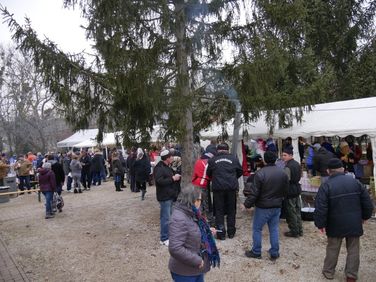 Egészségnap és  III.Töpörtyűsütő- és forraltborfőző verseny (A rendezvény részben pályázati forrásból valósult meg) 