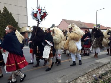 Mohácsi busójárás
