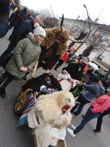 Mohácsi busójárás