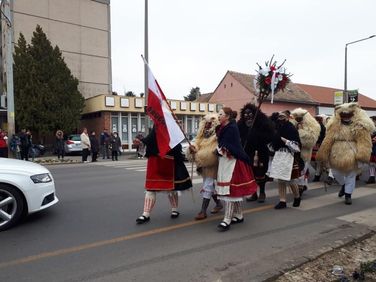 Mohácsi busójárás