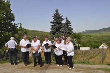Fakeresztek szentelése