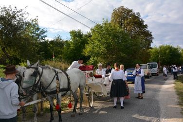 Szüreti felvonulás és lovasnapok