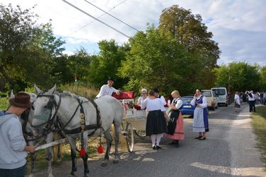 Szüreti felvonulás és lovasnapok