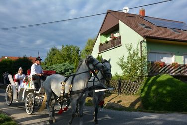 Szüreti felvonulás és lovasnapok