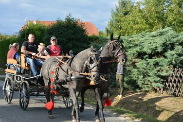 Szüreti felvonulás és lovasnapok