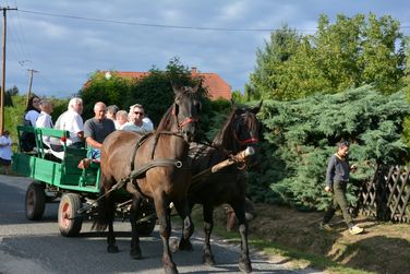 Szüreti felvonulás és lovasnapok