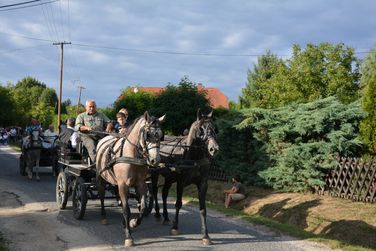 Szüreti felvonulás és lovasnapok