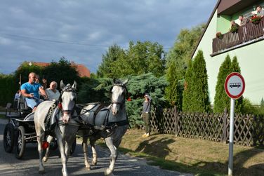 Szüreti felvonulás és lovasnapok