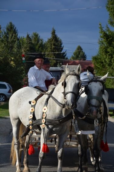 Szüreti felvonulás és lovasnapok