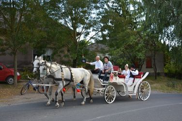Szüreti felvonulás és lovasnapok