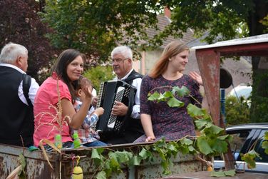 Szüreti felvonulás és lovasnapok