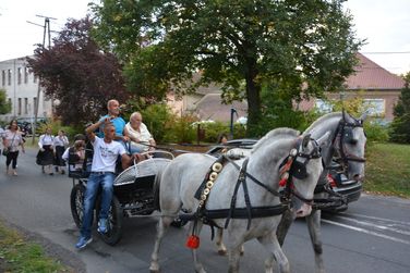 Szüreti felvonulás és lovasnapok