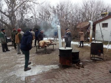 Disznóvágás (Három Hegy Egyesület)