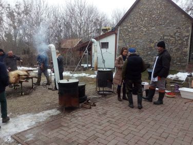 Disznóvágás (Három Hegy Egyesület)