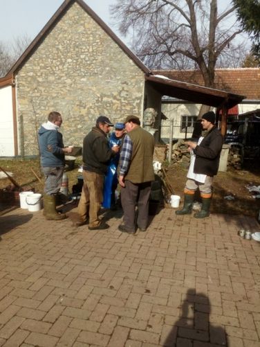 Disznóvágás (Három Hegy Egyesület)