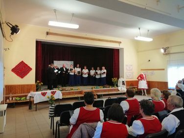Pávakörök találkozója