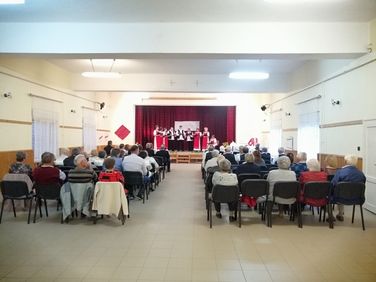 Pávakörök találkozója