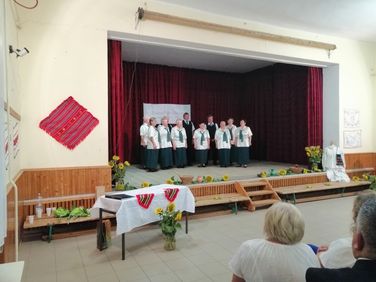 Pávakörök találkozója