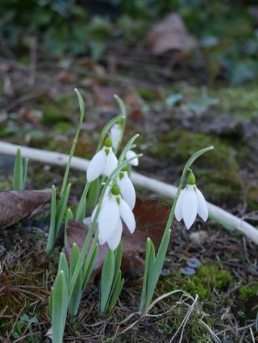 Töpörtyűsütő- és Forraltborfőző verseny