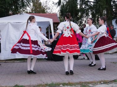 Szántói Almanap