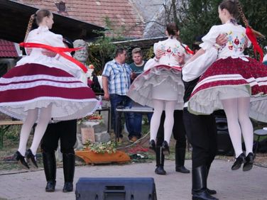 Szántói Almanap