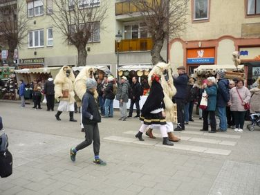 Mohácsi busójárás