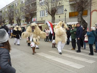 Mohácsi busójárás