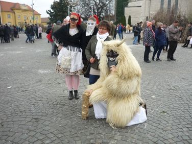 Mohácsi busójárás