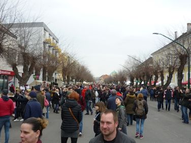 Mohácsi busójárás