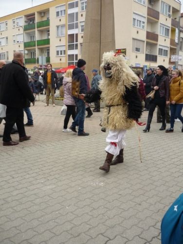 Mohácsi busójárás