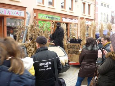 Mohácsi busójárás