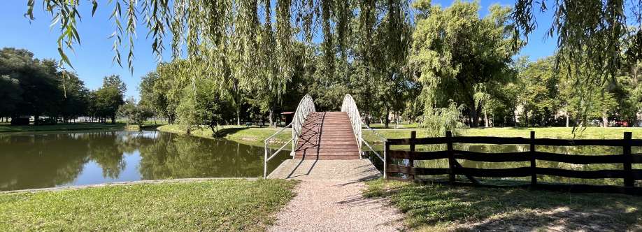 János Tóth Cover Image