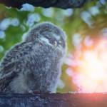 Bea Varga Profile Picture