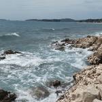 Adrienn Kiss Profile Picture