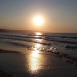 János Sipos Profile Picture