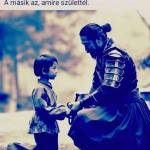 István Szabó Profile Picture