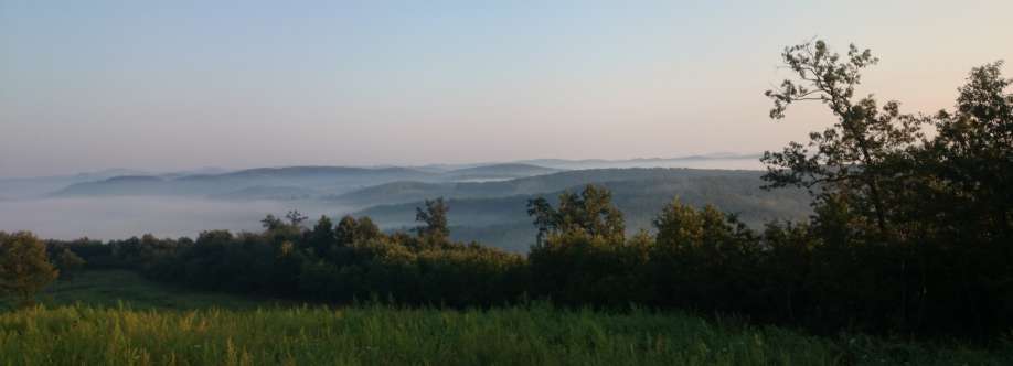 Zsolt Szabó Cover Image