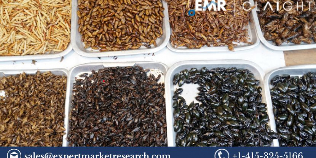 Insect Protein Market Size, Growth & Trends 2025-2034