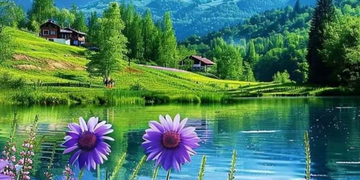 2022 MLS Salaries Discovered